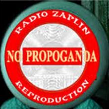 Радио Zaplin