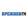 Брежнев FM Менделеевск